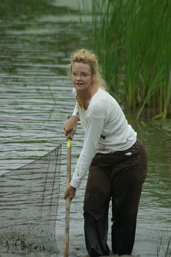 Seining at the wetlands on 10 June 2004